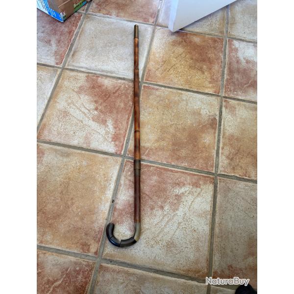 canne �p� Bambou