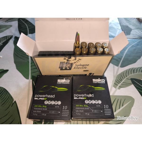 Assortiment de cartouche 300 win mag