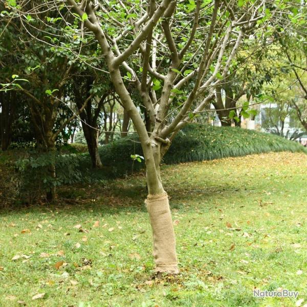 Ensemble de canap� de jardin 10 pcs Marron polyrotin