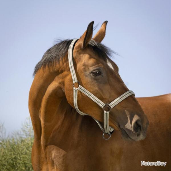 LICOL BOUCLERIE NOIRE SHETLAND - Vert - NORTON