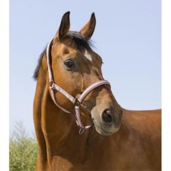 LICOL BOUCLERIE NOIRE SHETLAND - Rose - NORTON