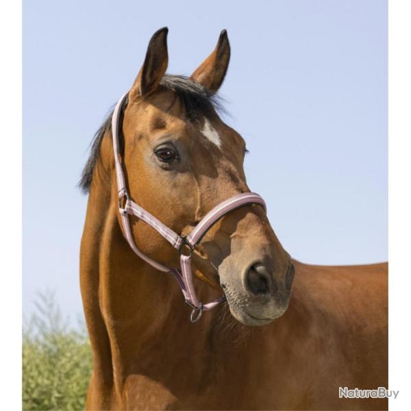 LICOL BOUCLERIE NOIRE SHETLAND - Rose - NORTON