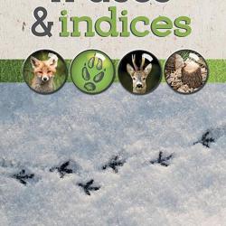 LIVRE TRACES & INDICES - CHAMINA