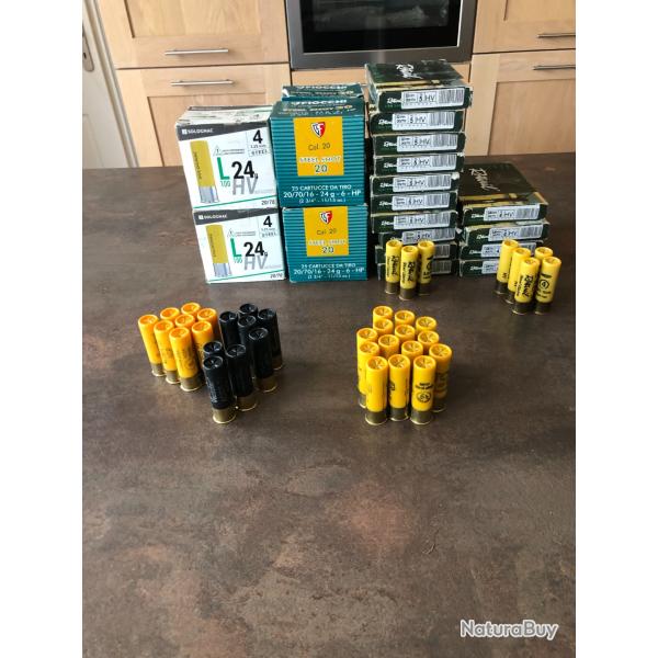 lot cartouches acier calibre 20