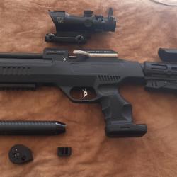 Karl  Puncher NP01  5.5mm 19.9j avec RDS UX Nano Point 4 et Moderatreur de Son