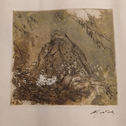 Gravure Lithographie grive musicienne donnant &agrave; manger &agrave; ses oisillons