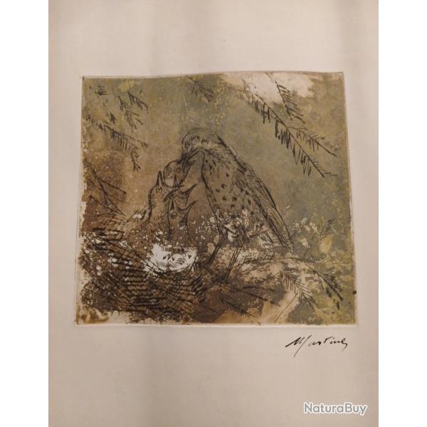 Gravure Lithographie grive musicienne donnant � manger � ses oisillons