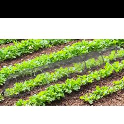 Lot de 4 Tunnels de protection pour potager maill&eacute; - 3 m