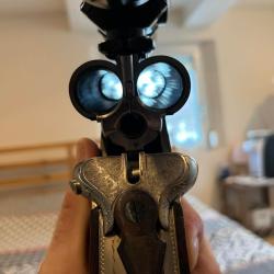 Actions au gros gibier