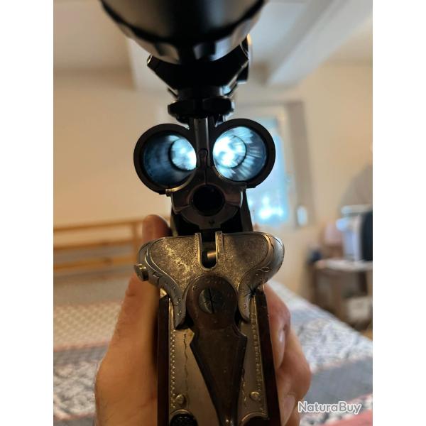 Actions au gros gibier