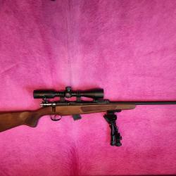 Carabine Hatsan Escort calibre .22 LR Crosse bois - Simple et efficace