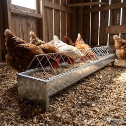 Mangeoire lin&eacute;aire GAUN Eco galvanis&eacute;e 75 cm pour volailles adultes
