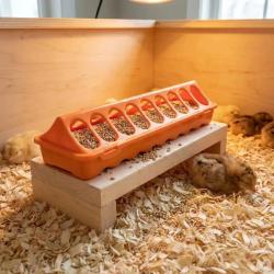 Mangeoire lin&eacute;aire &agrave; trous plastique 30 cm poussins et cailles - Orange GAUN