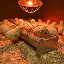 Mangeoire lin&eacute;aire GAUN Eco galvanis&eacute;e 50 cm pour poussins et cailles