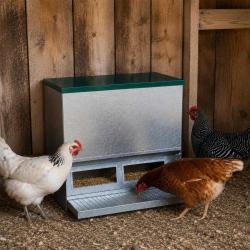 Mangeoire Tr&eacute;mie Anti-Nuisible Rooster 20kg - Acier Galvanis&eacute; pour Volailles