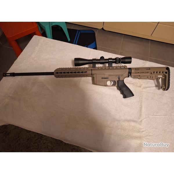 CARABINE PALLAS BA15 22lr