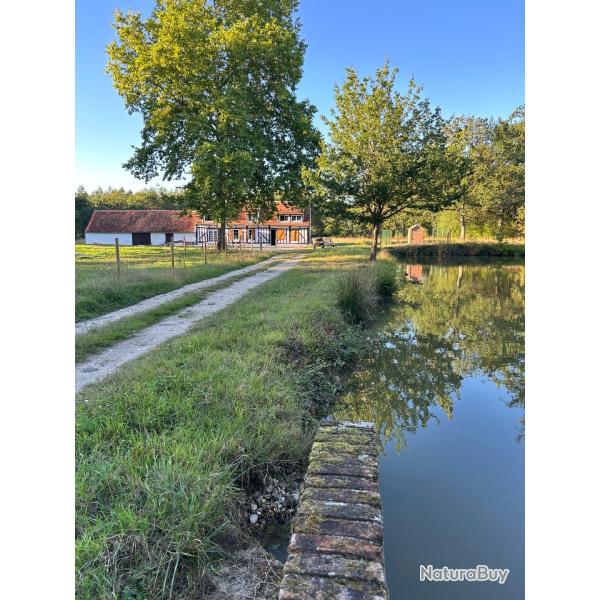 CHASSE PETITS GIBIERS SOLOGNE