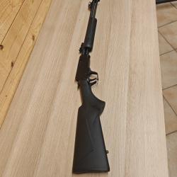 CARABINE A POMPE ROSSI GALLERY CALIBRE 22LR