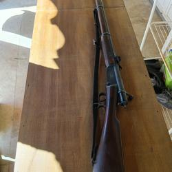 Fusil vetterli en 10.4 percussion annulaire