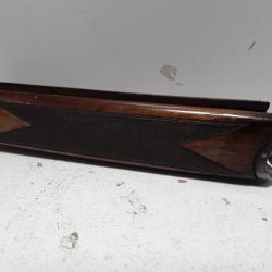 Longuesse/ devant bois Beretta S56E cal.12
