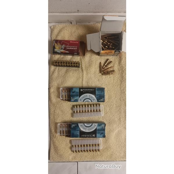 Vend lot de 110 munitions calibre 222 REM