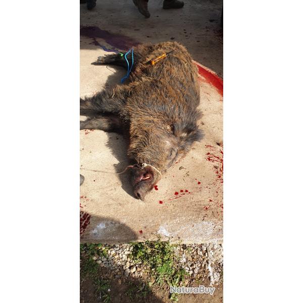 Part de chasse domaniale velaine en haye 54