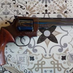 dan wesson 357 magnum