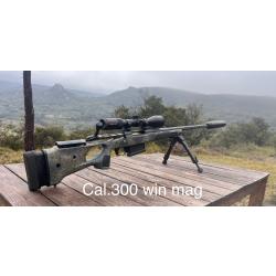 bergara b14 wilderness thumbhole lunettes kite 2-12x50 mod&eacute;rateur fryere et devik 269