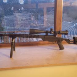 Carabine ruger precision rimfire 22lr