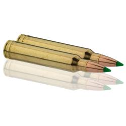 Balles de chasse Sologne Nosler Ballistic 150 gr