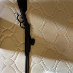 Carabine 44 Hugtek+viseur Holosun