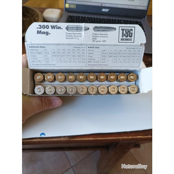 Diverse 300 win mag 20 balles