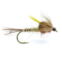 Mouche AB FLY Cycle de mai EM MAI H10