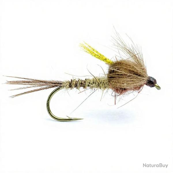 Mouche AB FLY Cycle de mai EM MAI H10