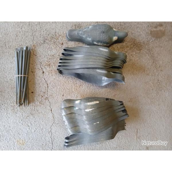 LOT FORMES PIGEONS DITES ANGLAISES