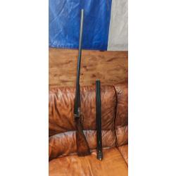 Beau maisonnial avec paire de canon