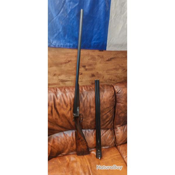 Beau maisonnial avec paire de canon