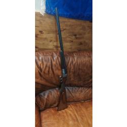 Jolie mixte sauer 20/6.5x58r