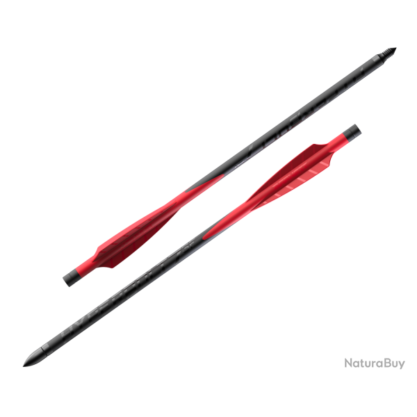 BARNETT HyperBolt C10 10'' x6 Demun