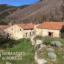 Mas catalan avec Domaine Forestier et Agricole - Pyr&eacute;n&eacute;es-Orientales d'environ 104 Ha DF-1167-A