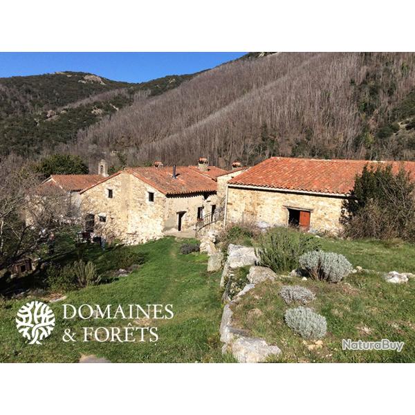 Mas catalan avec Domaine Forestier et Agricole - Pyr�n�es-Orientales d'environ 104 Ha DF-1167-A