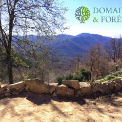 Propri&eacute;t&eacute; Foresti&egrave;re et Agricole d'environ 92 hectares dans les Pyr&eacute;n&eacute;es-Orientales DF-1168-A