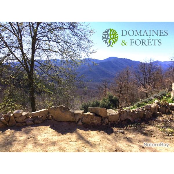 Propri�t� Foresti�re et Agricole d'environ 92 hectares dans les Pyr�n�es-Orientales DF-1168-A