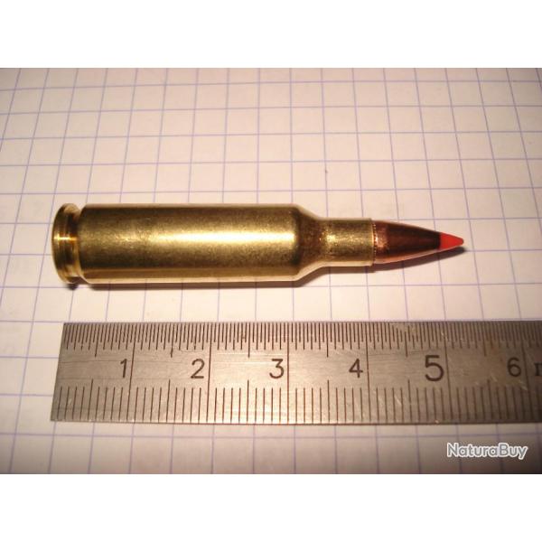 une cartouche de 224 valkyrie pour collection de marque hornady ogive V MAX