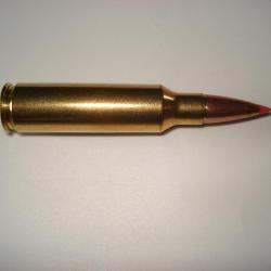 une cartouche de 300 ruger compact magnum pour collection de marque hornady ogive GMX