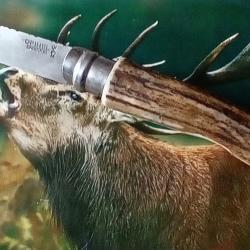 Couteau de poche Opinel 10 bois de cerf