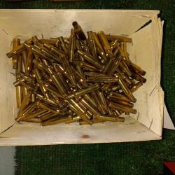 126 Douilles calibre 222