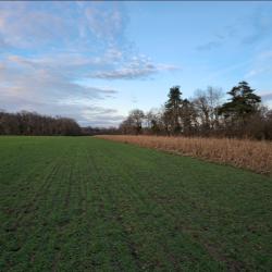 action de chasse au petit gibier &agrave; sully-sur-loire