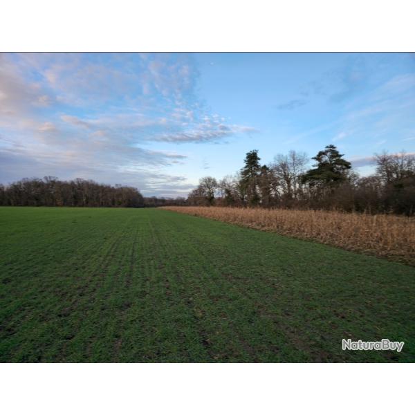 action de chasse au petit gibier � sully-sur-loire