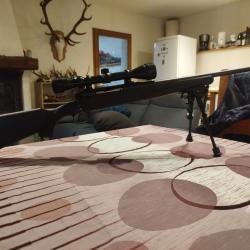 Pack renard Savage Axis 22-250